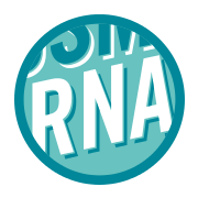 Molecool Kosmos RNA
